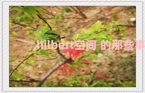 hilbert空间 的那些事